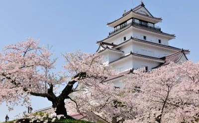 花見シーズンは終わらない！ これからが見頃の『東日本桜スポット』特集が旅行のクチコミサイト「フォートラベル」にて公開