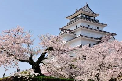 花見シーズンは終わらない！ これからが見頃の『東日本桜スポット』特集が旅行のクチコミサイト「フォートラベル」にて公開