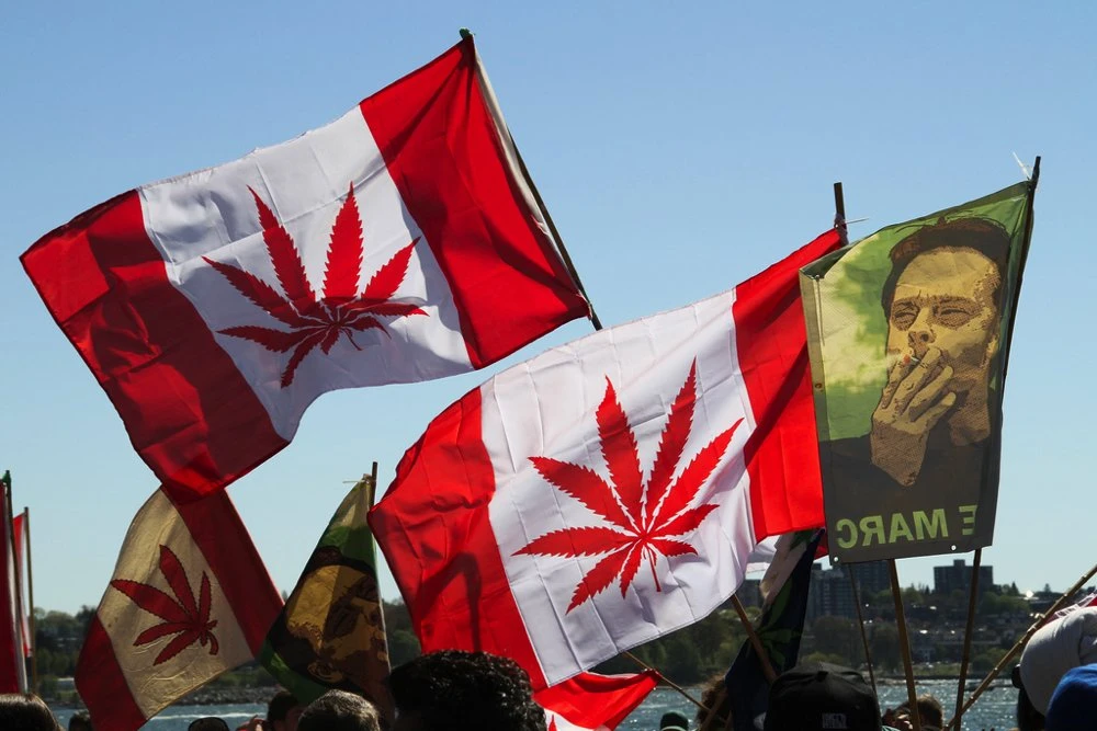 カナダ、大麻解禁も現地は騒がず「前から合法みたいなもんだった」