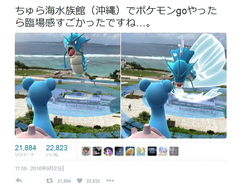 「臨場感すごかったですね」 沖縄美ら海水族館でのポケモンGOプレイ画面が『Twitter』で話題に