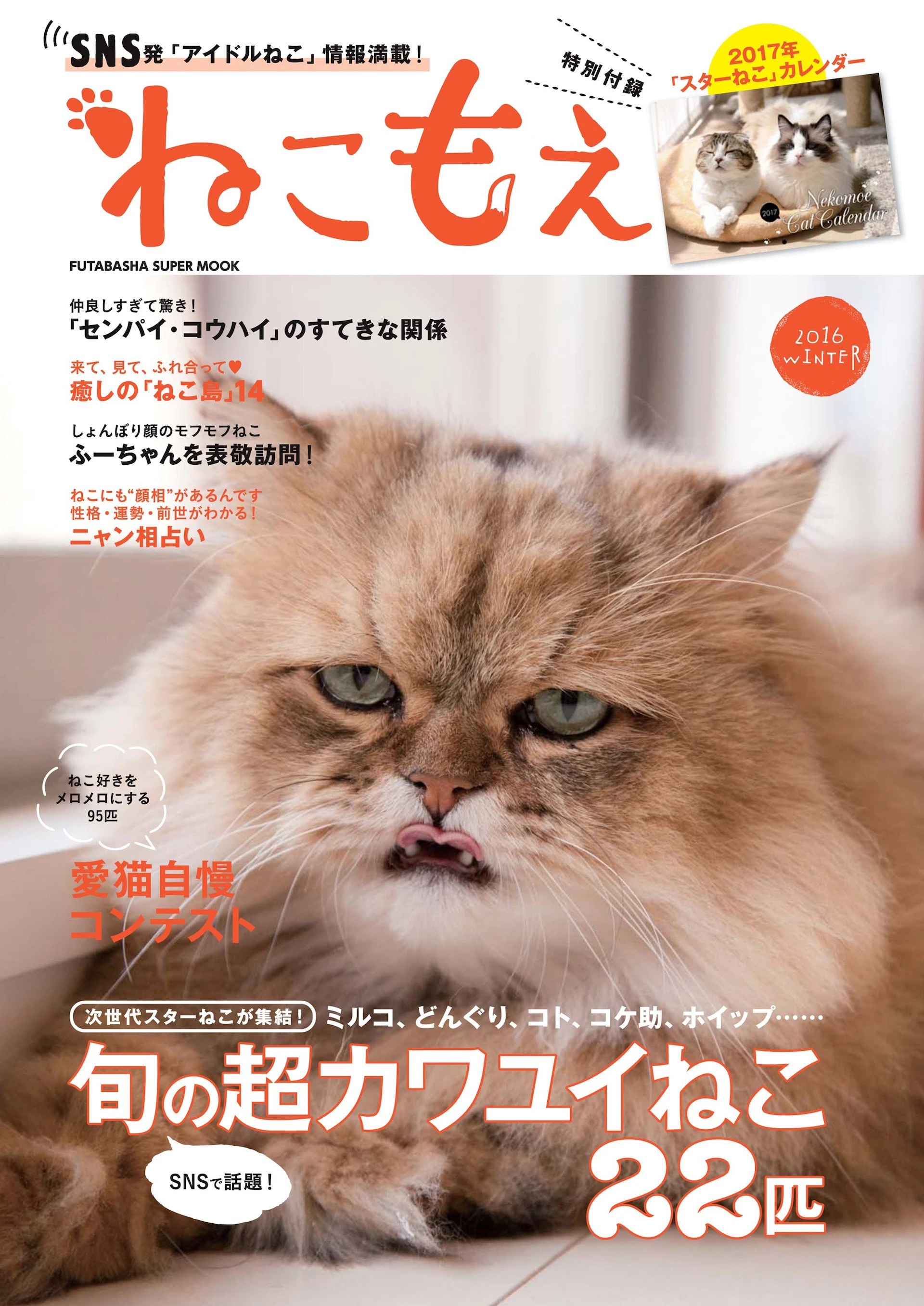 『ねこもえ』表紙はしょんぼり顔の猫・ふーちゃん