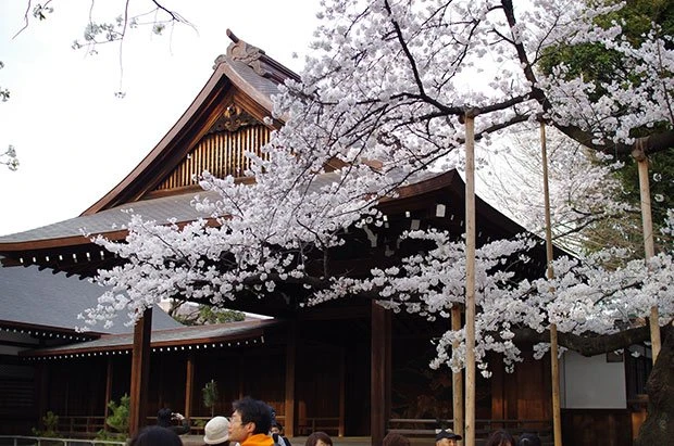 桜は今が見頃！ ゆったり楽しむ都内のお花見穴場スポット5選