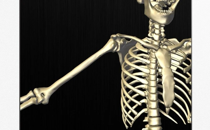 チームラボ開発の3D人体解剖アプリ「teamLabBody」が全世界同時発売