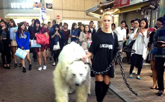 渋谷に白熊が出現！  謎のロシア人集団・LALSHがポップすぎてヤバい