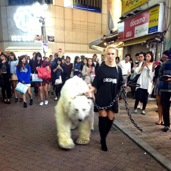 渋谷に現れた白熊さん