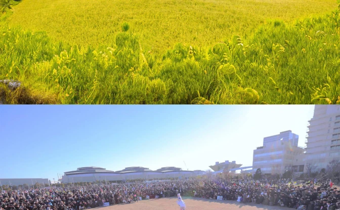 「えなこりんぐ」の囲みが大草原に　Photoshop新機能が驚異的
