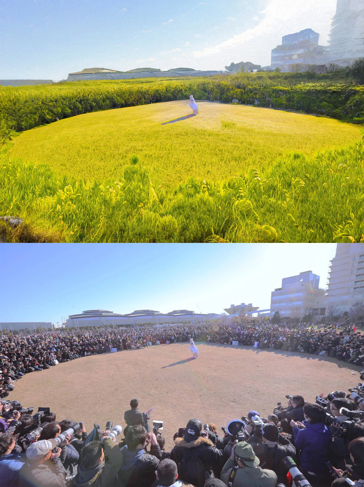 「えなこりんぐ」の囲みが大草原に　Photoshop新機能が驚異的