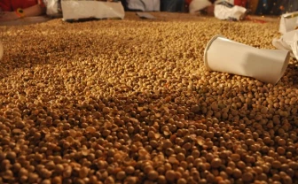 東京の奇祭「すごい豆まき2014」で1.5トンの豆をまいてきた！