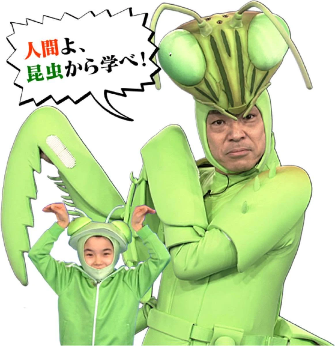 佐倉綾音、アリさんになる「香川照之の昆虫すごいぜ！」夏特番でナレーション
