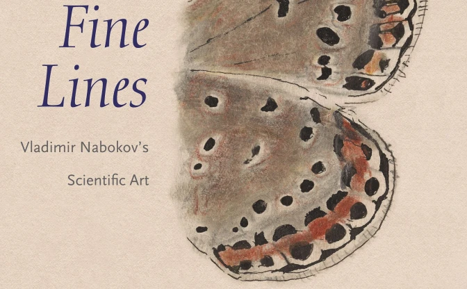 『ロリータ』ナボコフの描いた蝶のデッサン画集　蝶の研究家としての側面