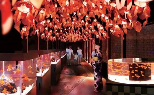 日本最大の金魚展「お江戸の金魚ワンダーランド」すみだ水族館で夏祭り