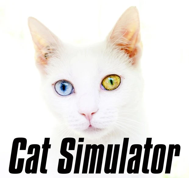 ネコが好きならなっちゃうか！ ゲーム「Cat Simulator」資金調達中