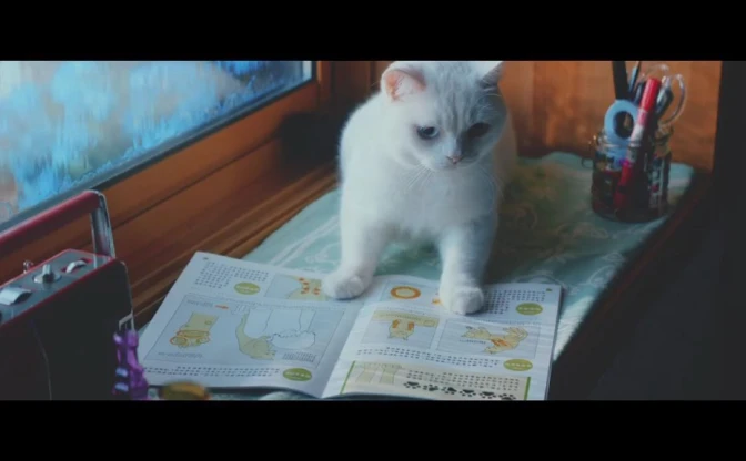 【ねこ動画】可愛いのに泣ける！　猫たちがお婆ちゃんを喜ばせるために内緒で勉強