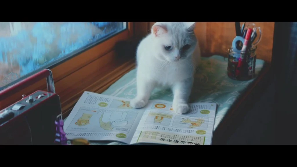 【ねこ動画】可愛いのに泣ける！　猫たちがお婆ちゃんを喜ばせるために内緒で勉強