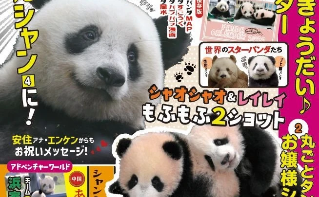 かわええが止まらない雑誌『パンダ自身』最新号に双子の新星パンダ特集