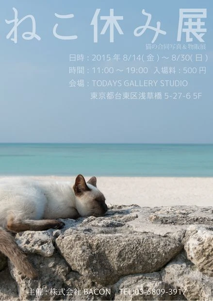 猫写真界のスターたちによる「ねこ休み展」開催！ 水中ニーソの古賀学も
