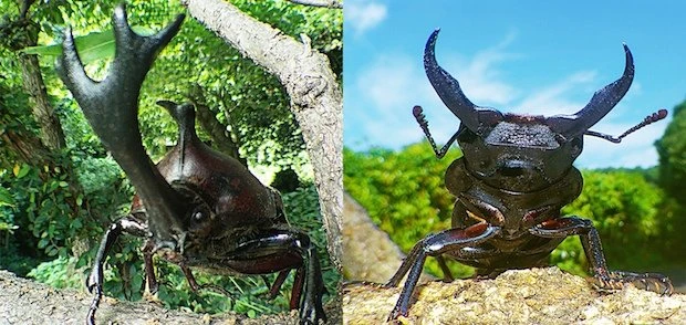 世界初“アリ目線”で昆虫世界に迫る！ 3D映画『アリのままでいたい』