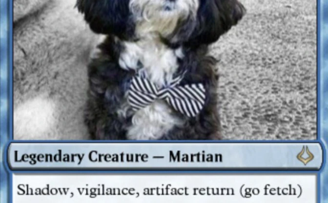 イーロン・マスクに『MTG』プレイヤー説浮上　今度は愛犬をカード化