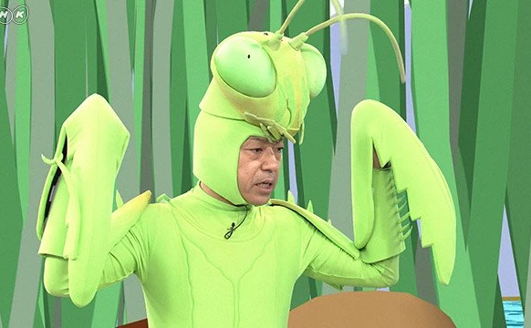 昆虫マニア香川照之がカマキリ役に！ NHKの昆虫番組でバッタを探す