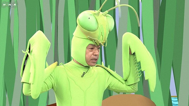昆虫マニア香川照之がカマキリ役に！ NHKの昆虫番組でバッタを探す