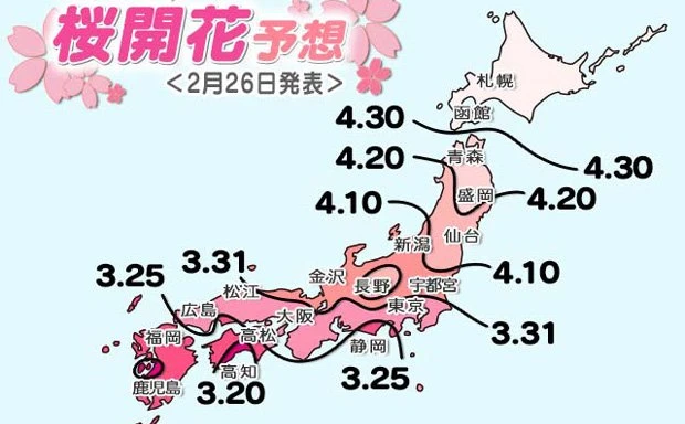 日本気象協会が桜開花予想発表！ 3月頃から桜が咲くよ！