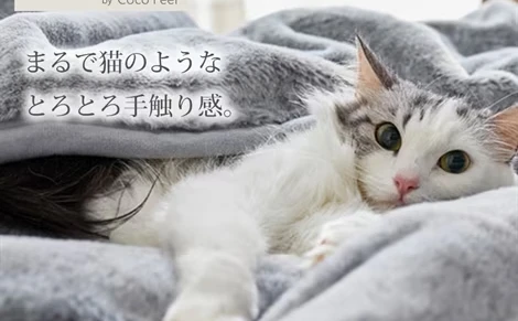 猫はどこまで人間を狂わせるのか　ニッセン「猫の手触り毛布」即完売