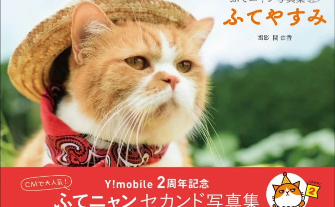CMで大人気「ふてニャン」2nd写真集　この猫、ふてぶてしいけど愛くるしい！