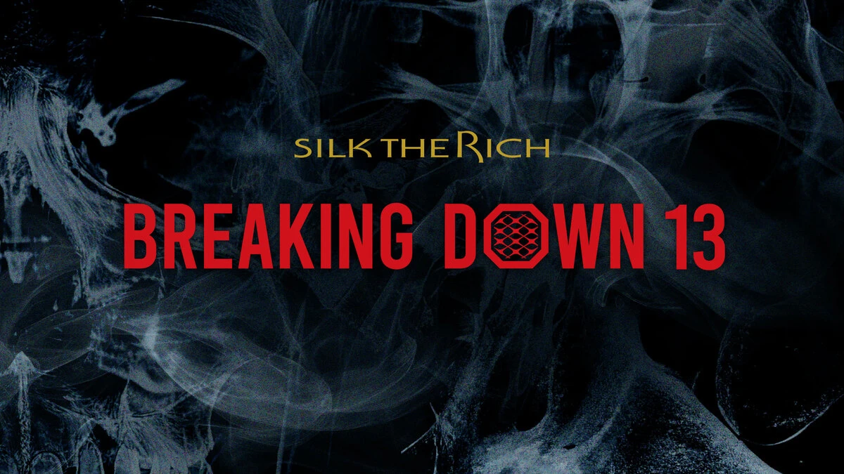 9月1日に開催された格闘技イベント「SILK THE RICH presents BreakingDown13」