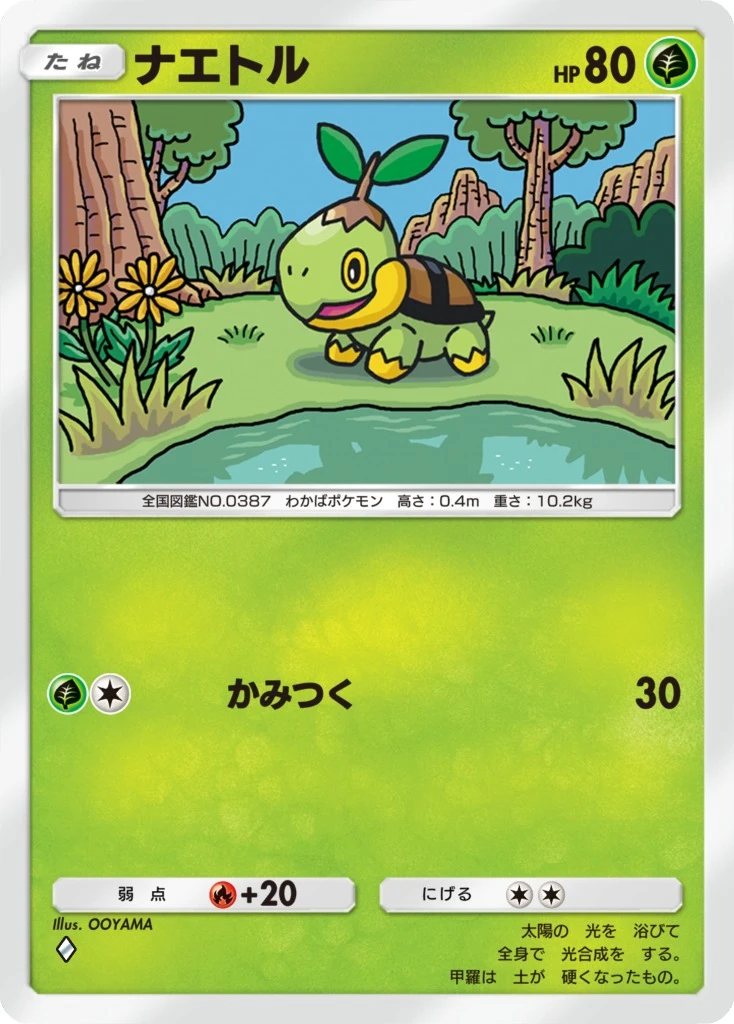 ナエトル
