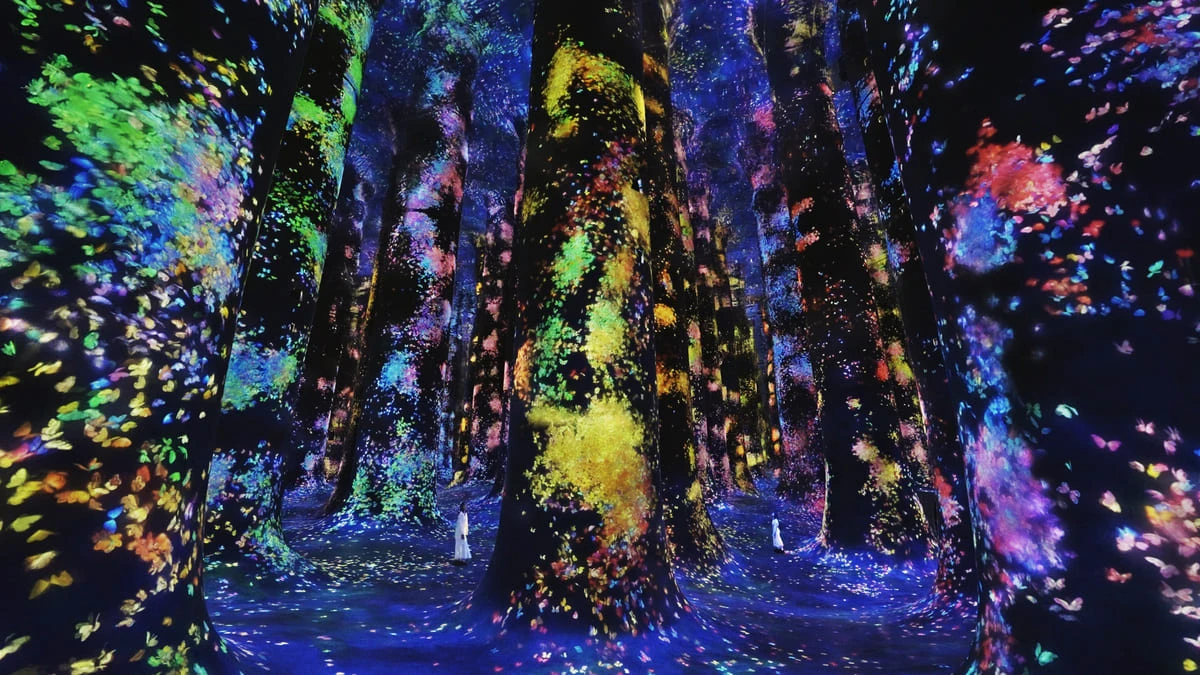 アート空間「teamLab Phenomena Abu Dhabi」先行公開作品8
