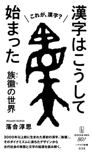 『漢字はこうして始まった』