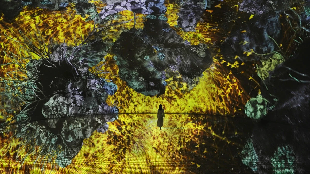 アート空間「teamLab Phenomena Abu Dhabi」先行公開作品4